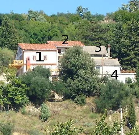 Orli Hnizdo