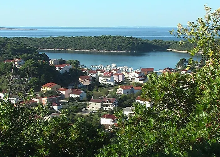 Orli Hnizdo *
