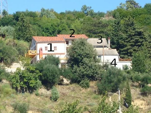 Orli Hnizdo